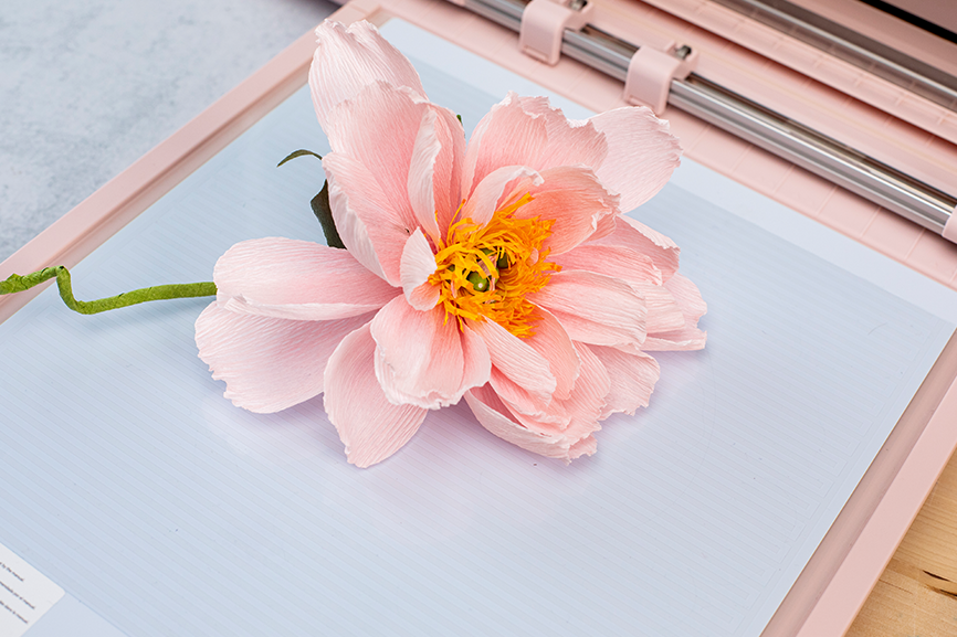 máquina de corte silhouette cameo 5 alpha